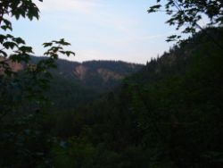 2013-07-20_Regina-F-Rau_Kochel-Rabenkopf (624).JPG